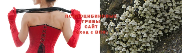 кокаин VHQ Белокуриха