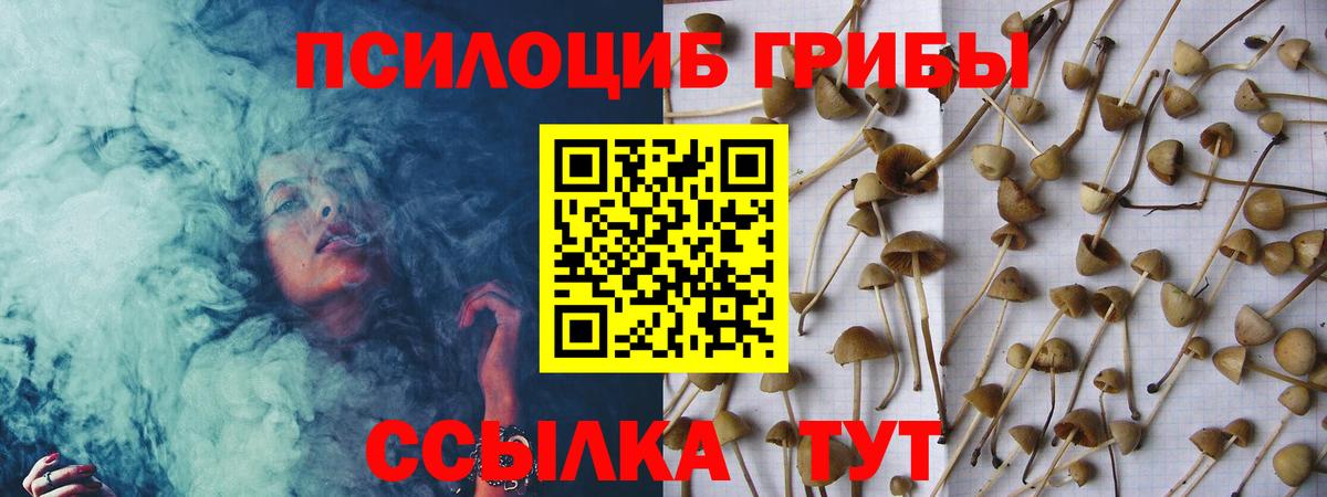 Псилоцибиновые грибы Psilocybine cubensis Армавир