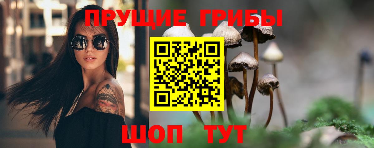 A PVP Армавир