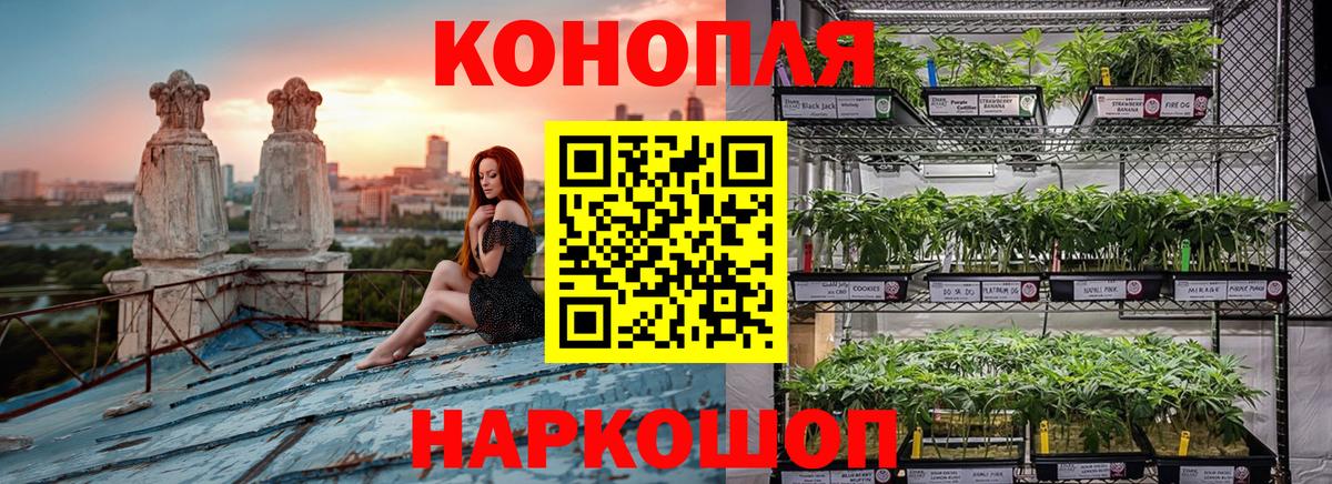 Канабис VHQ Армавир
